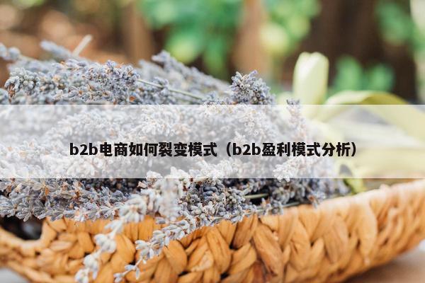 b2b电商如何裂变模式（b2b盈利模式分析）