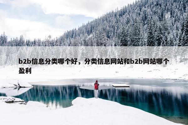b2b信息分类哪个好，分类信息网站和b2b网站哪个盈利