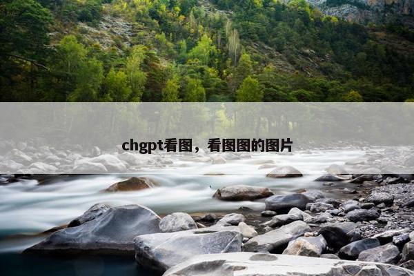 chgpt看图，看图图的图片