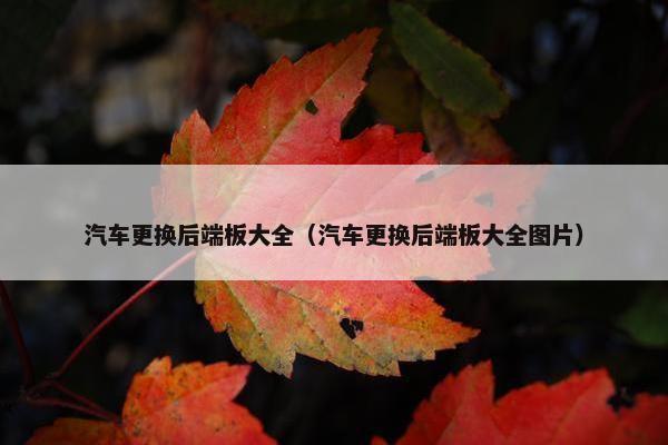 汽车更换后端板大全（汽车更换后端板大全图片）