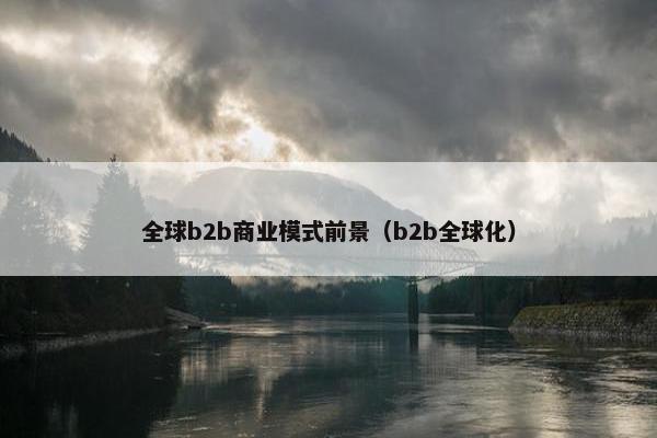 全球b2b商业模式前景（b2b全球化）