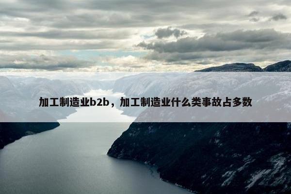 加工制造业b2b，加工制造业什么类事故占多数