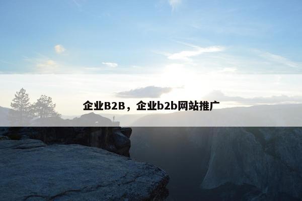 企业B2B，企业b2b网站推广
