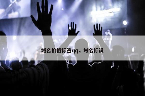 域名价格标签qq，域名标识