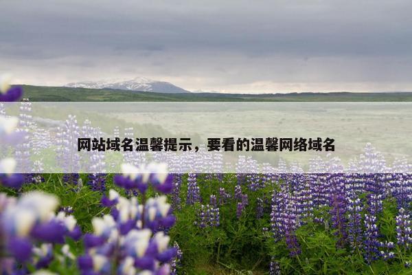网站域名温馨提示，要看的温馨网络域名