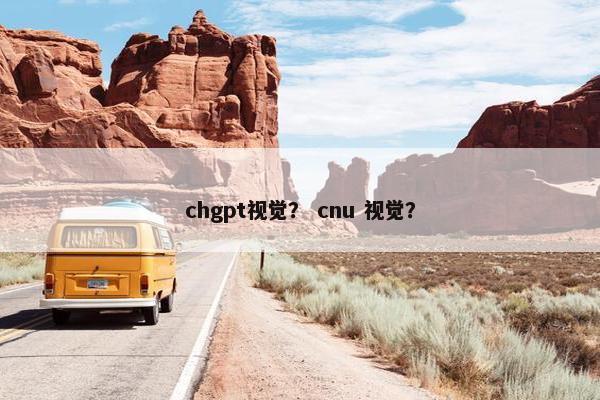 chgpt视觉？ cnu 视觉？