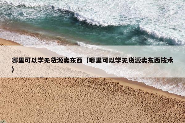 哪里可以学无货源卖东西（哪里可以学无货源卖东西技术）
