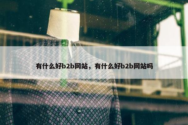 有什么好b2b网站，有什么好b2b网站吗