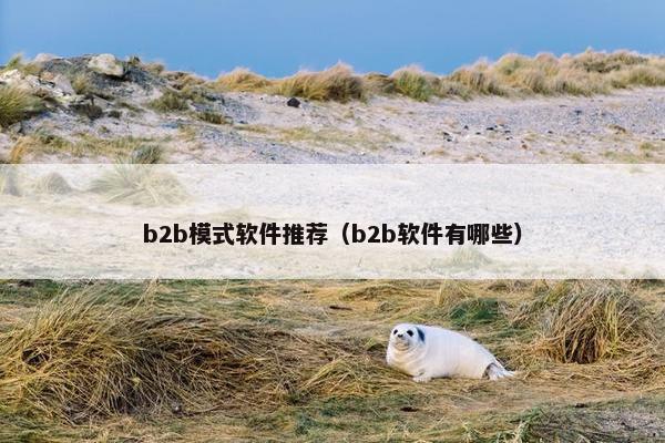 b2b模式软件推荐（b2b软件有哪些）