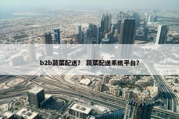 b2b蔬菜配送？ 蔬菜配送系统平台？