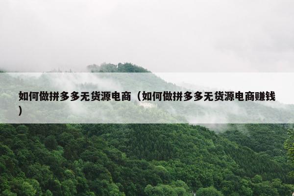 如何做拼多多无货源电商（如何做拼多多无货源电商赚钱）