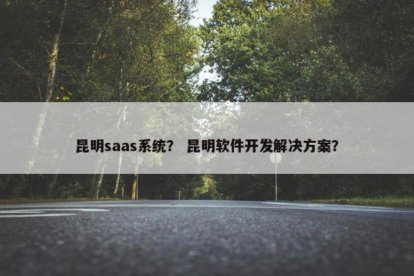 昆明saas系统？ 昆明软件开发解决方案？