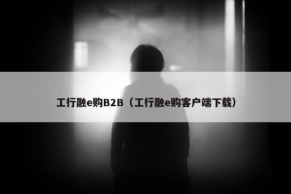 工行融e购B2B（工行融e购客户端下载）