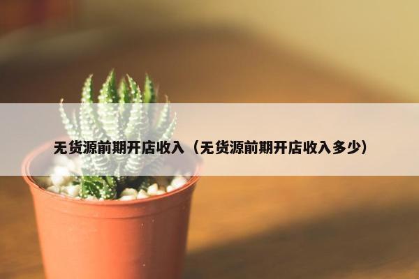 无货源前期开店收入（无货源前期开店收入多少）
