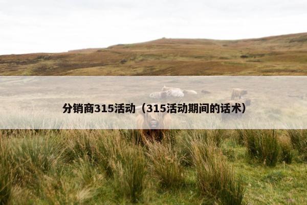 分销商315活动（315活动期间的话术）