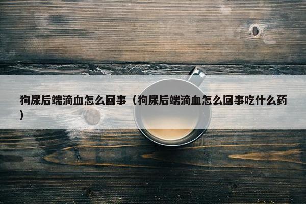 狗尿后端滴血怎么回事（狗尿后端滴血怎么回事吃什么药）