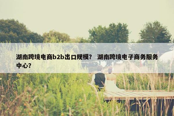湖南跨境电商b2b出口规模？ 湖南跨境电子商务服务中心？