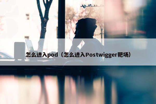 怎么进入pod（怎么进入Postwigger靶场）