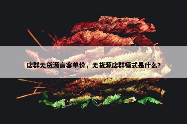 店群无货源高客单价，无货源店群模式是什么?
