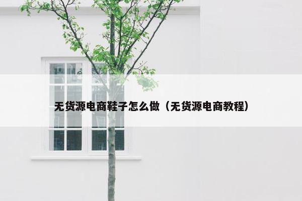 无货源电商鞋子怎么做（无货源电商教程）