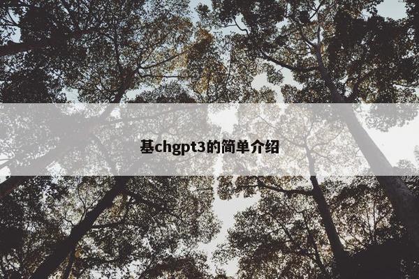 基chgpt3的简单介绍