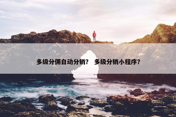 多级分佣自动分销？ 多级分销小程序？