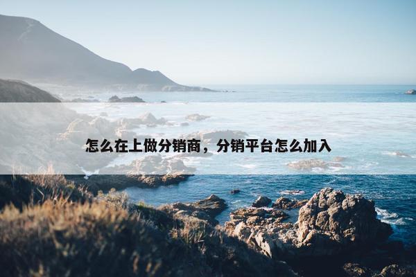 怎么在上做分销商，分销平台怎么加入