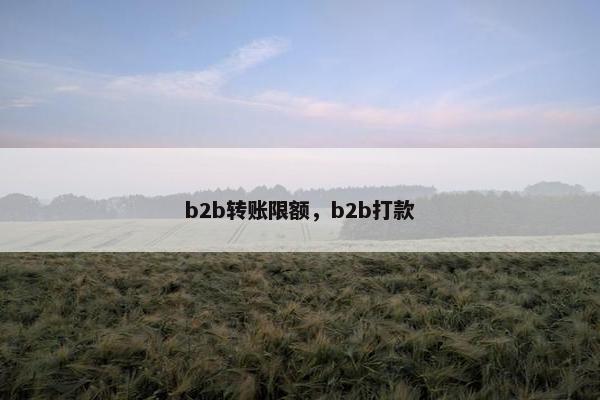 b2b转账限额，b2b打款