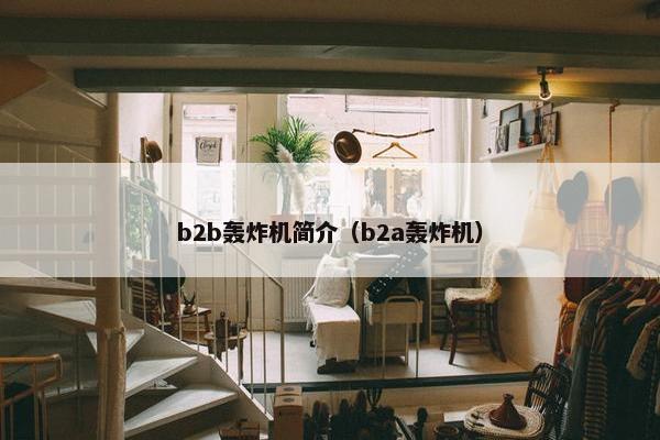 b2b轰炸机简介（b2a轰炸机）