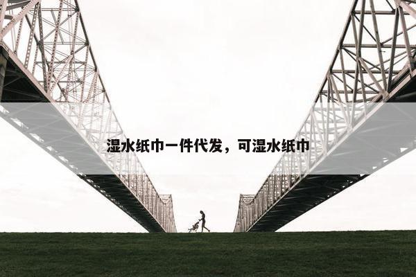 湿水纸巾一件代发，可湿水纸巾