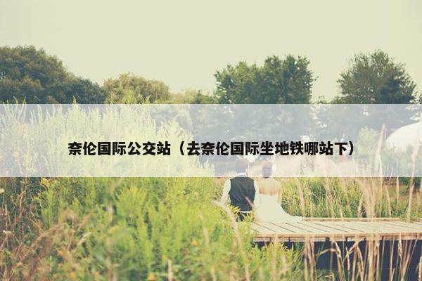 奈伦国际公交站（去奈伦国际坐地铁哪站下）