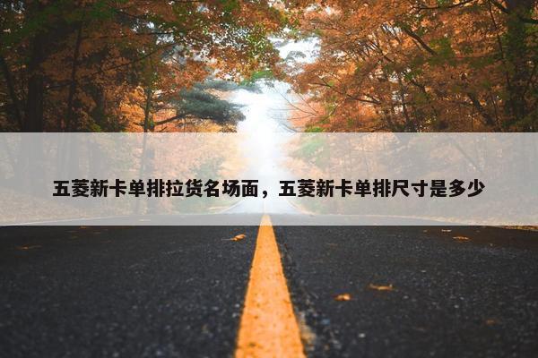 五菱新卡单排拉货名场面，五菱新卡单排尺寸是多少