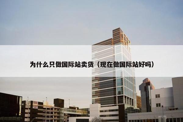 为什么只做国际站卖货（现在做国际站好吗）