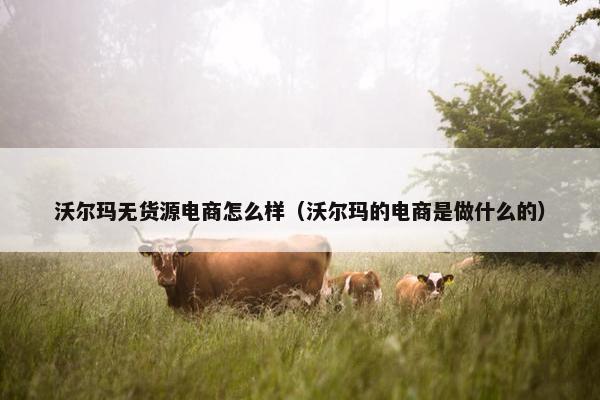 沃尔玛无货源电商怎么样（沃尔玛的电商是做什么的）