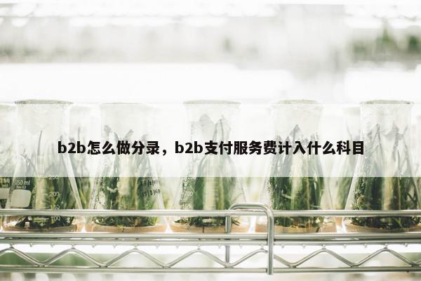 b2b怎么做分录，b2b支付服务费计入什么科目