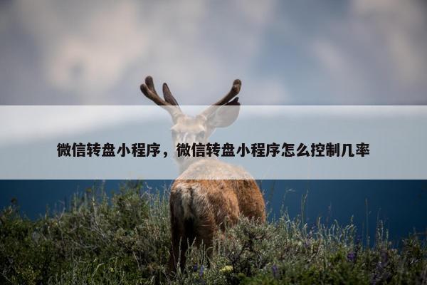 微信转盘小程序，微信转盘小程序怎么控制几率