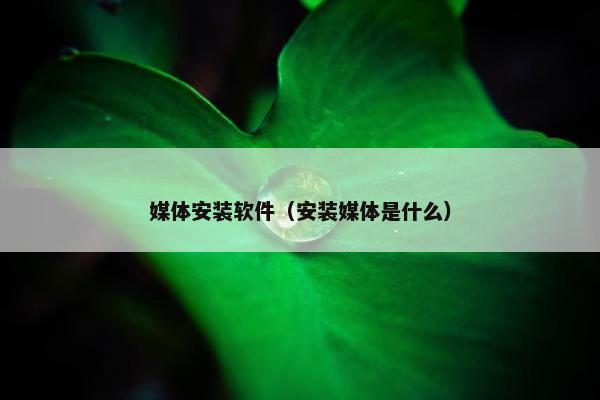 媒体安装软件（安装媒体是什么）