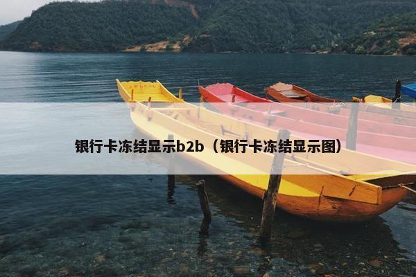 银行卡冻结显示b2b（银行卡冻结显示图）