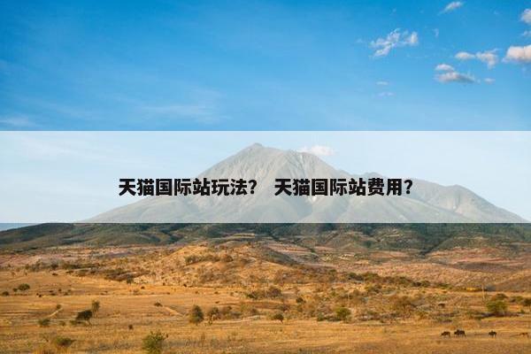 天猫国际站玩法？ 天猫国际站费用？