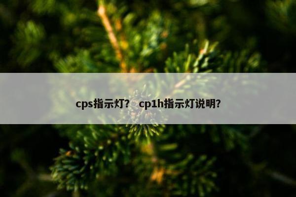 cps指示灯？ cp1h指示灯说明？