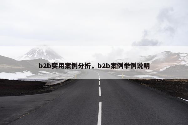 b2b实用案例分析，b2b案例举例说明