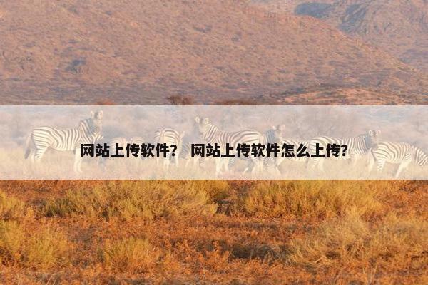 网站上传软件？ 网站上传软件怎么上传？
