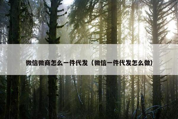 微信微商怎么一件代发（微信一件代发怎么做）