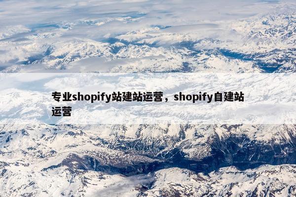 专业shopify站建站运营，shopify自建站运营