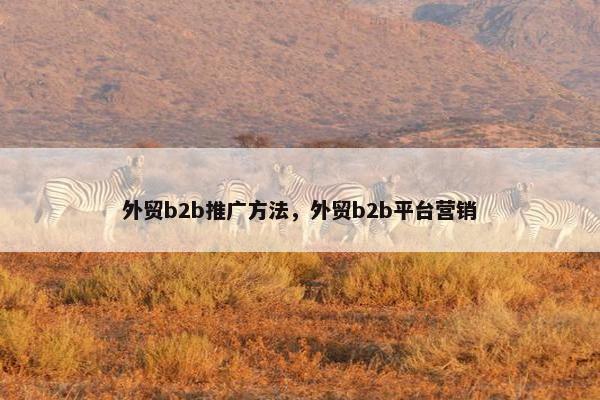外贸b2b推广方法，外贸b2b平台营销