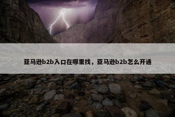 亚马逊b2b入口在哪里找，亚马逊b2b怎么开通