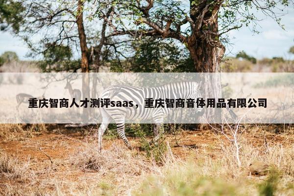 重庆智商人才测评saas，重庆智商音体用品有限公司