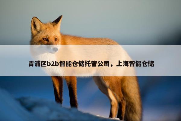 青浦区b2b智能仓储托管公司，上海智能仓储
