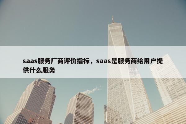 saas服务厂商评价指标，saas是服务商给用户提供什么服务