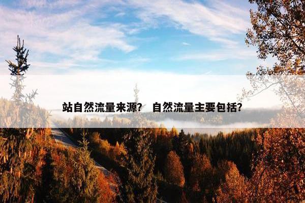 站自然流量来源？ 自然流量主要包括？